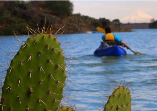  Kayak dietro il cactus 